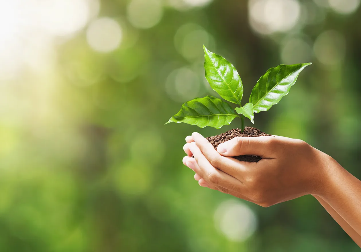 企業価値の向上に貢献する